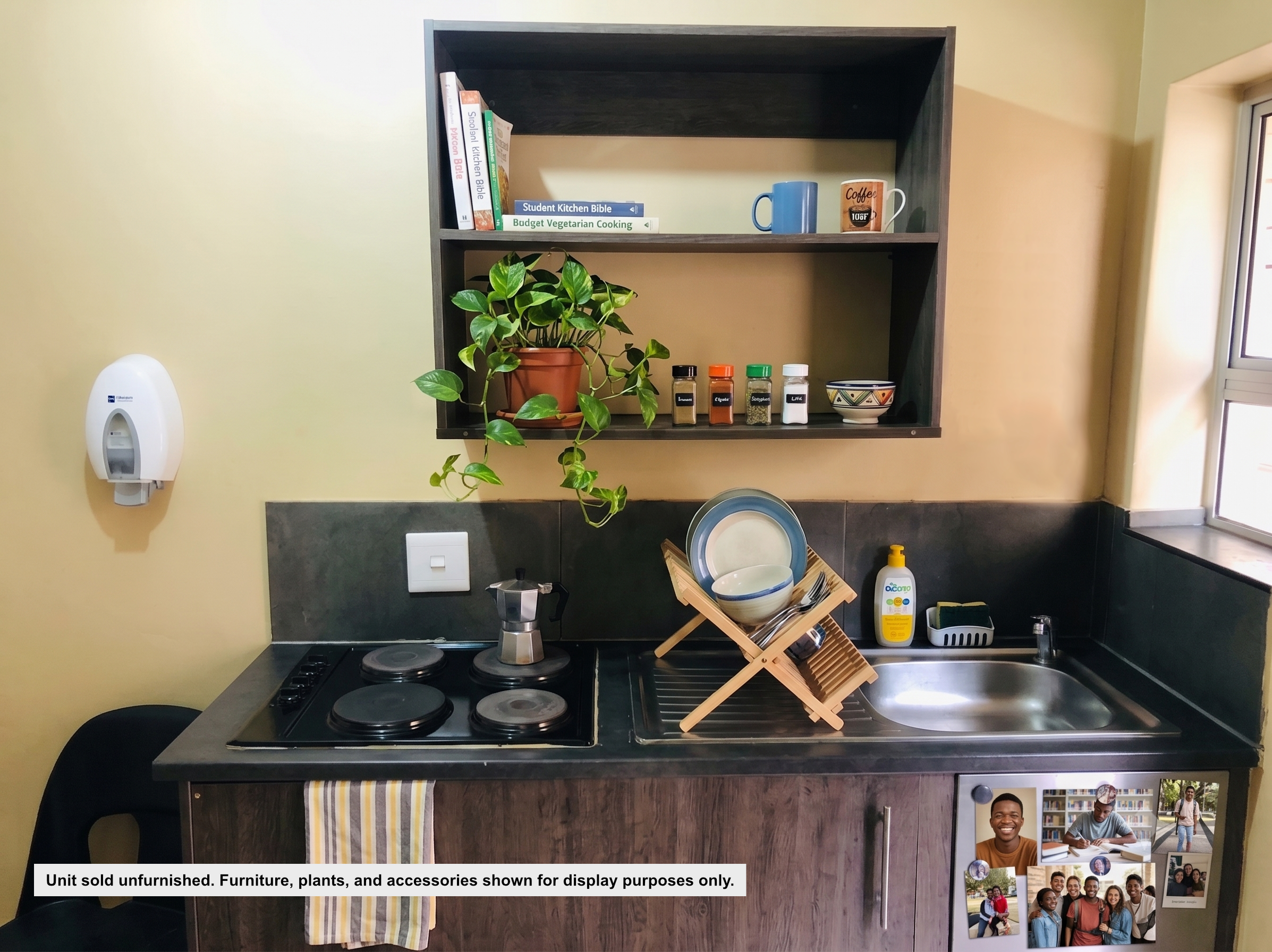 A cozy student kitchenette featuring a black electric stovetop with a moka pot, a stainless steel sink, and a wooden dish drying rack on a dark countertop. Above the counter, a dark wood shelf holds cookbooks, mugs, spices, and a trailing potted plant.